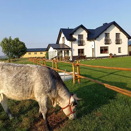 Farm stay Zagroda Na Borach Jablonka (Lesser Poland)