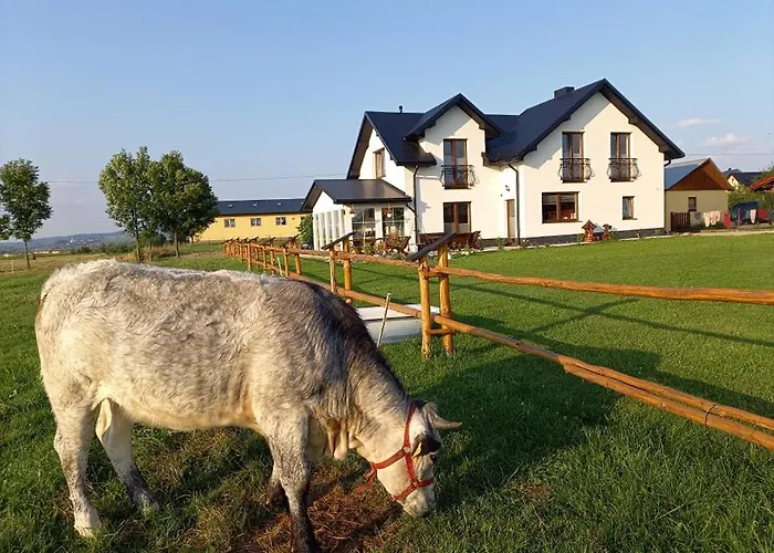Bauernhof Zagroda Na Borach Jablonka (Lesser Poland)